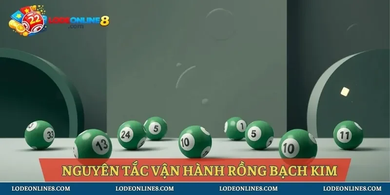 Nguyên tắc vận hành